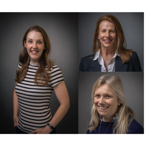 Moody, Copelman, Scandizzo TLTC grant winners
